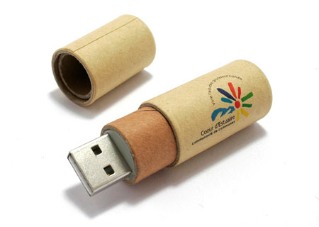 Cle USB Bois Ecologique